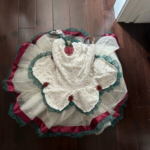 pointe costume in size adult small